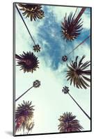 Palm Sky 2-Design Fabrikken-Mounted Photographic Print