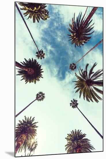 Palm Sky 2-Design Fabrikken-Mounted Photographic Print