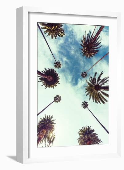 Palm Sky 2-Design Fabrikken-Framed Photographic Print