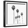 Palm Sky Black, 2024-Alex Hanson-Framed Art Print