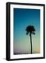 Palm Solo-Susan Bryant-Framed Art Print