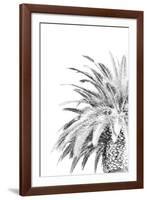 Palm Spring - Noir-Irene Suchocki-Framed Giclee Print