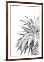 Palm Spring - Noir-Irene Suchocki-Framed Giclee Print