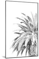 Palm Spring - Noir-Irene Suchocki-Mounted Giclee Print