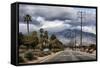 Palm Spring-Janice Sullivan-Framed Stretched Canvas