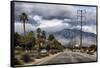 Palm Spring-Janice Sullivan-Framed Stretched Canvas