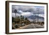 Palm Spring-Janice Sullivan-Framed Giclee Print