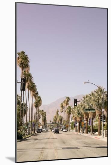 Palm Spring-Shot by Clint-Mounted Giclee Print