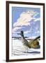 Palm Springs, California - Roadrunner Scene-Lantern Press-Framed Art Print