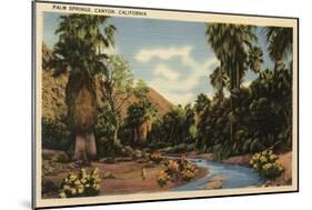 Palm Springs, California - View of Palm Springs Canyon-Lantern Press-Mounted Art Print