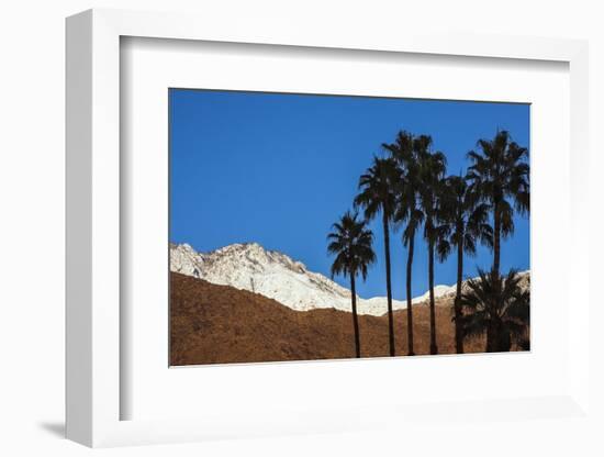 Palm Springs, California-Zandria Muench Beraldo-Framed Photographic Print