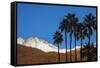 Palm Springs, California-Zandria Muench Beraldo-Framed Stretched Canvas