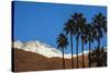 Palm Springs, California-Zandria Muench Beraldo-Stretched Canvas