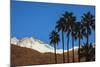 Palm Springs, California-Zandria Muench Beraldo-Mounted Photographic Print