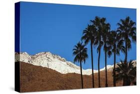 Palm Springs, California-Zandria Muench Beraldo-Stretched Canvas