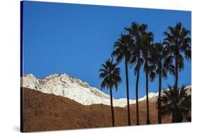 Palm Springs, California-Zandria Muench Beraldo-Stretched Canvas