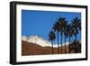 Palm Springs, California-Zandria Muench Beraldo-Framed Photographic Print