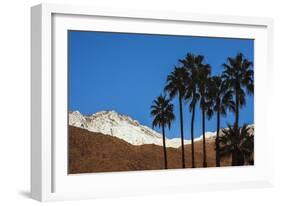 Palm Springs, California-Zandria Muench Beraldo-Framed Photographic Print