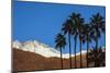 Palm Springs, California-Zandria Muench Beraldo-Mounted Photographic Print