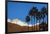 Palm Springs, California-Zandria Muench Beraldo-Framed Photographic Print