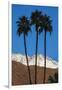 Palm Springs, California-Zandria Muench Beraldo-Framed Photographic Print