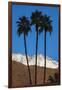 Palm Springs, California-Zandria Muench Beraldo-Framed Photographic Print