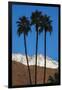 Palm Springs, California-Zandria Muench Beraldo-Framed Photographic Print