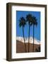 Palm Springs, California-Zandria Muench Beraldo-Framed Photographic Print