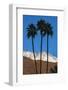Palm Springs, California-Zandria Muench Beraldo-Framed Photographic Print