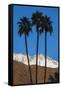 Palm Springs, California-Zandria Muench Beraldo-Framed Stretched Canvas