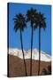 Palm Springs, California-Zandria Muench Beraldo-Stretched Canvas