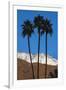 Palm Springs, California-Zandria Muench Beraldo-Framed Premium Photographic Print