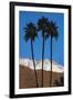 Palm Springs, California-Zandria Muench Beraldo-Framed Premium Photographic Print
