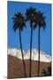 Palm Springs, California-Zandria Muench Beraldo-Mounted Premium Photographic Print