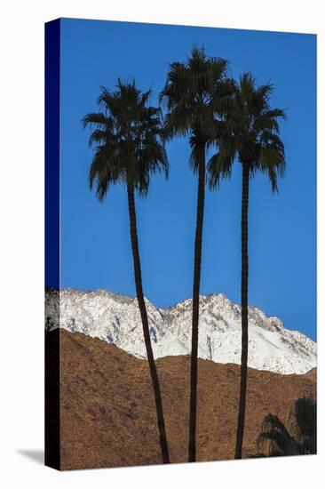 Palm Springs, California-Zandria Muench Beraldo-Stretched Canvas