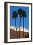 Palm Springs, California-Zandria Muench Beraldo-Framed Photographic Print