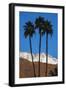 Palm Springs, California-Zandria Muench Beraldo-Framed Photographic Print