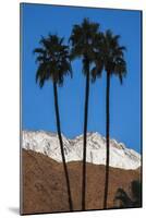 Palm Springs, California-Zandria Muench Beraldo-Mounted Photographic Print