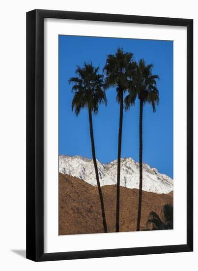 Palm Springs, California-Zandria Muench Beraldo-Framed Premium Photographic Print