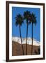 Palm Springs, California-Zandria Muench Beraldo-Framed Photographic Print