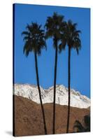 Palm Springs, California-Zandria Muench Beraldo-Stretched Canvas