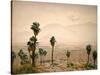 Palm Springs Desert-Gunnar Widforss-Stretched Canvas