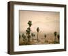 Palm Springs Desert-Gunnar Widforss-Framed Art Print