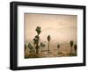 Palm Springs Desert-Gunnar Widforss-Framed Art Print