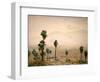 Palm Springs Desert-Gunnar Widforss-Framed Art Print