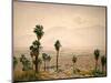 Palm Springs Desert-Gunnar Widforss-Mounted Art Print