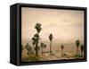 Palm Springs Desert-Gunnar Widforss-Framed Stretched Canvas