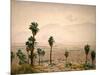 Palm Springs Desert-Gunnar Widforss-Mounted Art Print