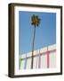 Palm Springs II-Bethany Young-Framed Photographic Print