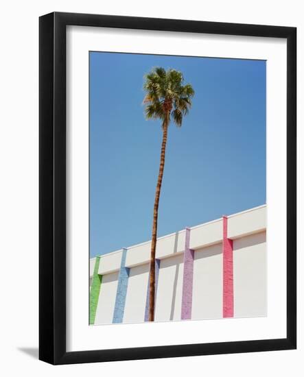 Palm Springs II-Bethany Young-Framed Photographic Print